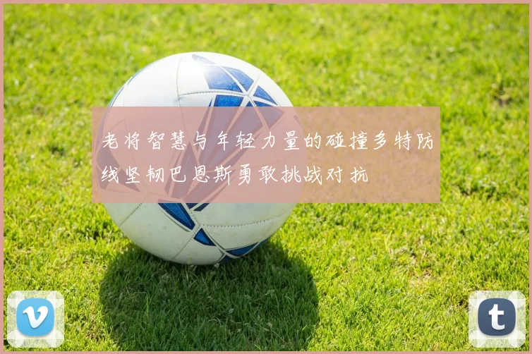 老将智慧与年轻力量的碰撞多特防线坚韧巴恩斯勇敢挑战对抗
