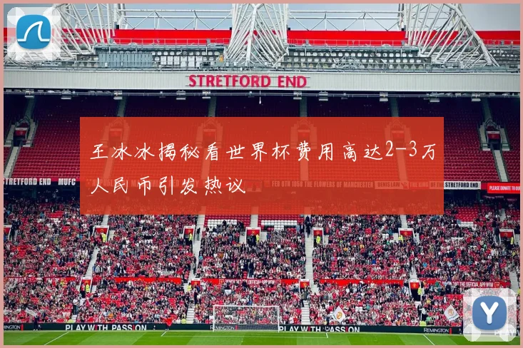 王冰冰揭秘看世界杯费用高达2-3万人民币引发热议