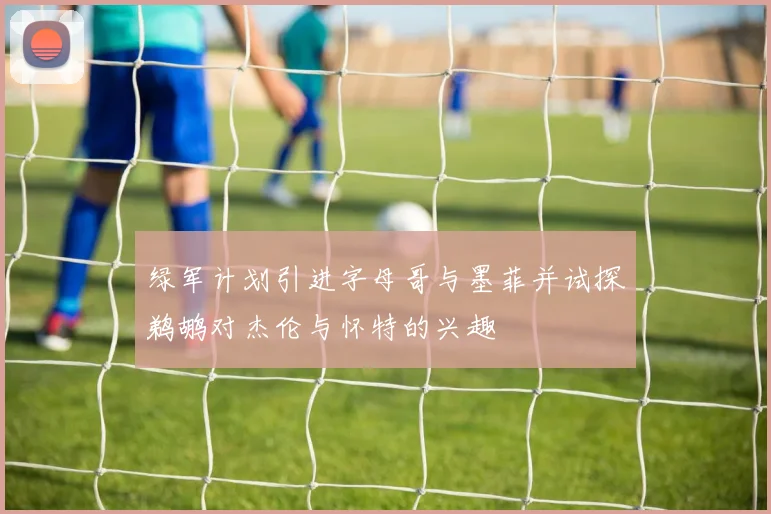 绿军计划引进字母哥与墨菲并试探鹈鹕对杰伦与怀特的兴趣